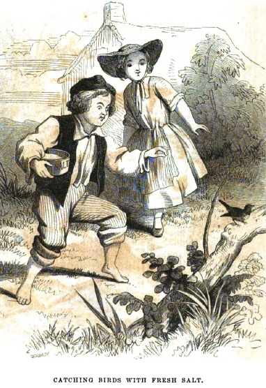 Godeys 62 Catching birds with fresh salt Godeys 62 Catching birds with fresh salt