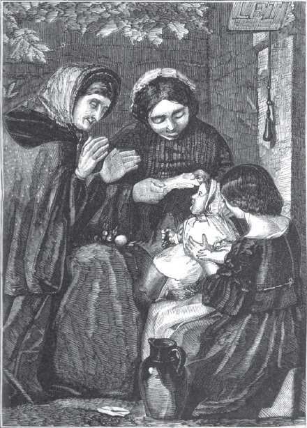 Petersons 62 January Bless its little heart Petersons 62 January Bless its little heart