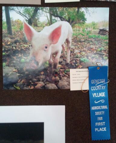 2013-10-06 12.15.44-1.jpg image