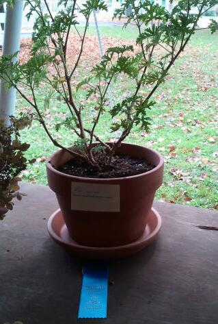 2013-10-06 12.50.48-1.jpg image