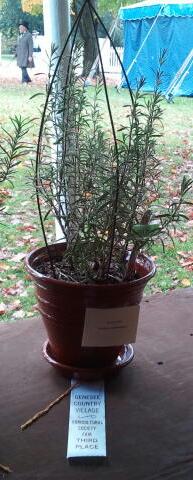 2013-10-06 12.50.58-1.jpg image