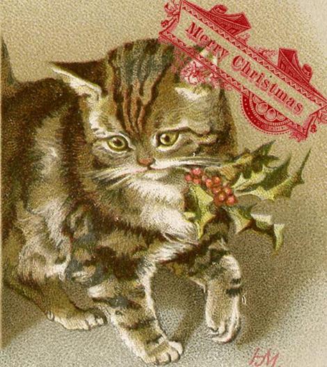 Merry Christmas 2013