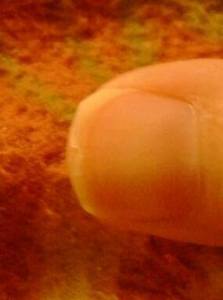 10408573_10153774091377846_5114040626592264257_n